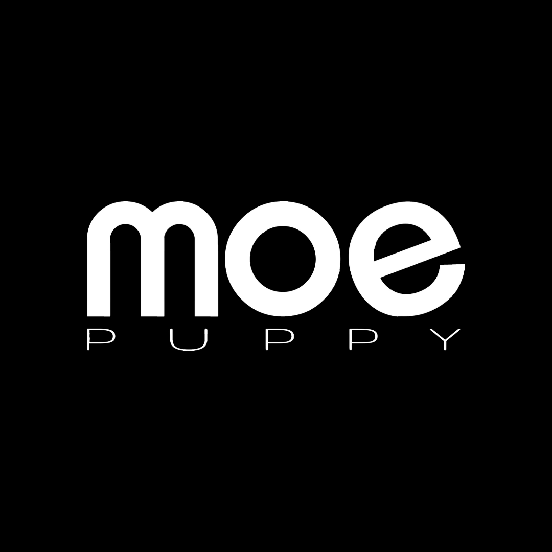 Moe Puppy